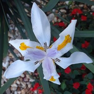 Meet your Posher, Deborah